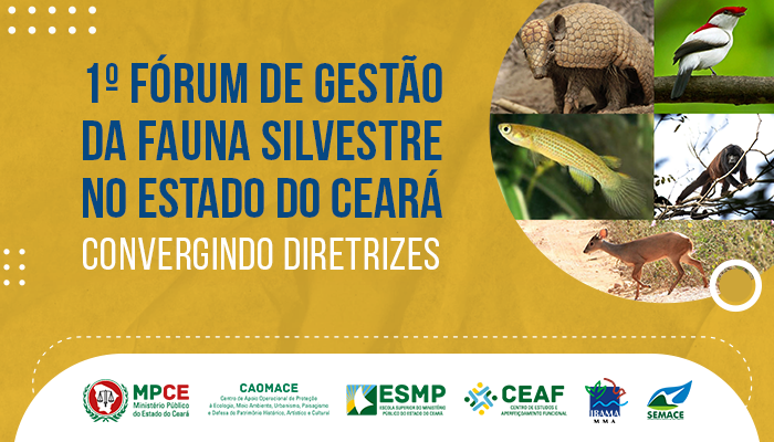 MPCE promove 1º fórum sobre gestão da fauna silvestre do Estado 