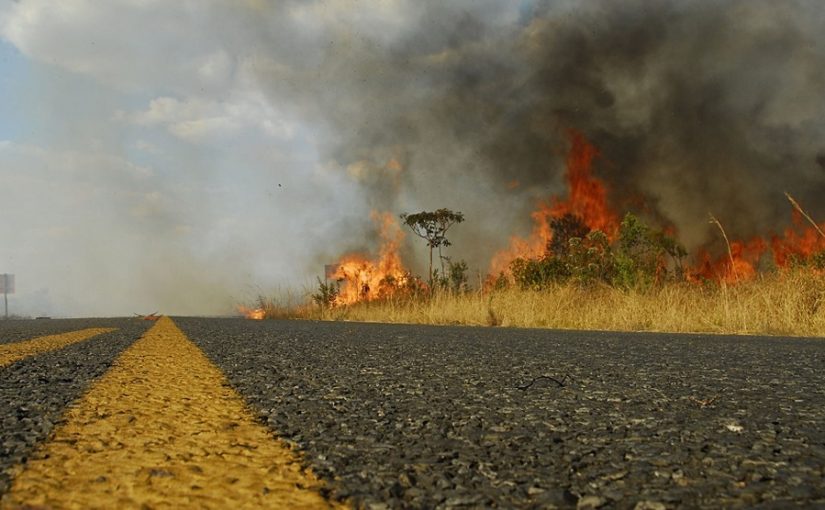 MPCE discute com Detran sinalização para prevenção de incêndios florestais às margens das rodovias estaduais